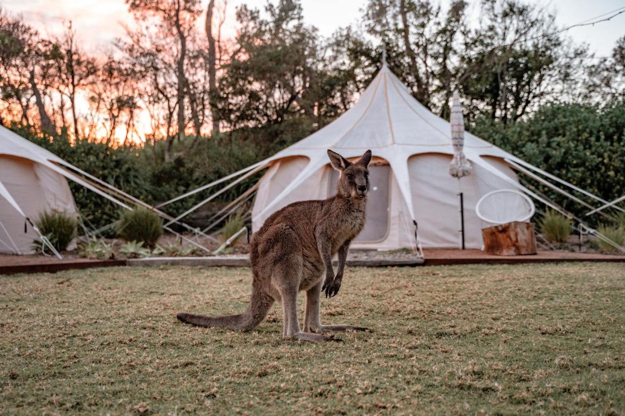 The Cove Jervis Bay Villa Eksteriør billede